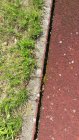 Tartanbahn auf dem Schulsportplatz vor der Sanierung<br><small>Hans Brendle</smalll>
