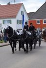 Leonhardiritt 2017<br><small>Rosemarie Urian</smalll>